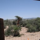 arizona from other cameras - DSCF1533
